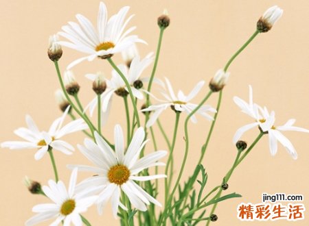 带以字贵气的名字