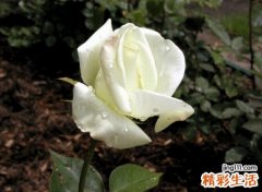 有意境的三个字诗意古风网名