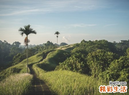 古诗词中截取的诗意文艺昵称