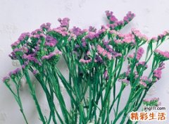 2022最创意有趣的微信名字
