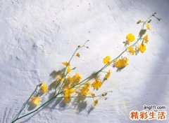 带屹字大气有涵养的好听名字