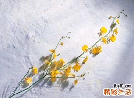 带屹字大气有涵养的好听名字