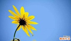 属牛男孩带水带草寓意好的名字