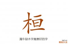 属牛缺木字寓意好的字有哪些