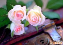 2022寓意旺财的名字有哪些