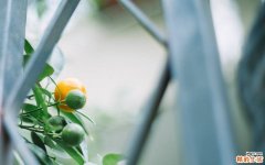 好听又聚财的便利店名字 便利店名字店名大全聚财