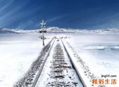 高贵黑暗的血族名字