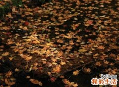 五行属土的字大全