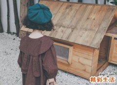 带媛字的女孩名字