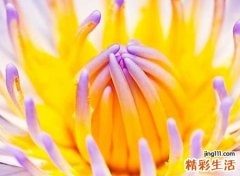 寓意吉祥的字有哪些