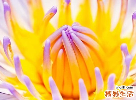 寓意吉祥的字有哪些