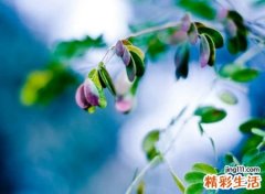 中式韵味的时尚微信名字