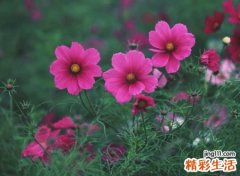 运气最佳的流行微信网名