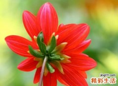 笔画少且寓意好的名字有哪些
