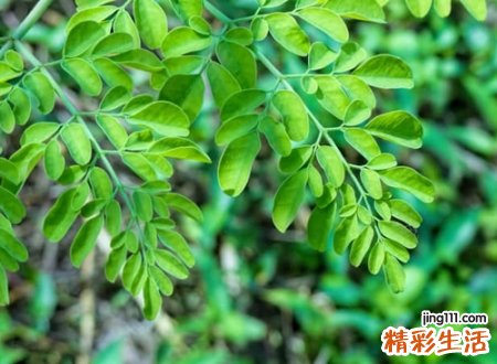 与晨字搭配好听的名字