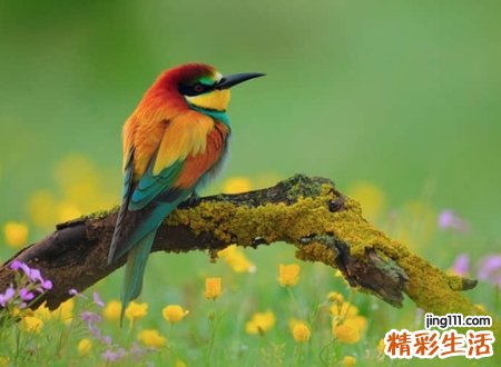 三个字有创意的新潮微信名
