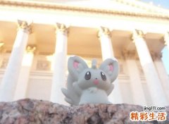 寓意好的男女通用小名