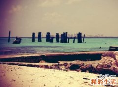 五行既有水又有木的名字有哪些