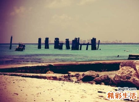 五行既有水又有木的名字有哪些