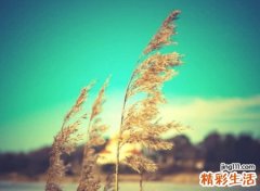 高贵气场强大的英文名
