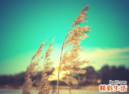 高贵气场强大的英文名