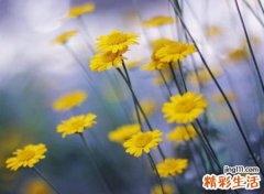 火字偏旁的有哪些字
