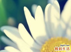 带日字旁的字有哪些