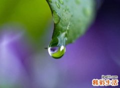 目的偏旁有哪些字