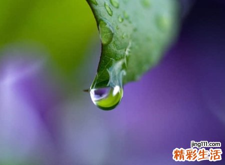 目的偏旁有哪些字