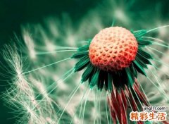 好听的三个字qq个性网名