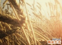 心安心静的昵称