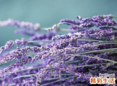 有深意好听的个性笔名