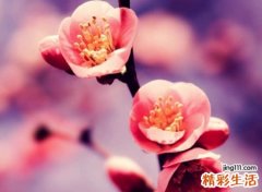 寓意比较好的字有哪些