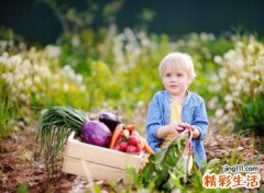 姓吴女孩有涵养的名字