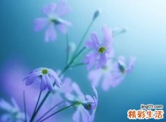 70后独享的成熟网名
