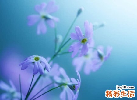 70后独享的成熟网名