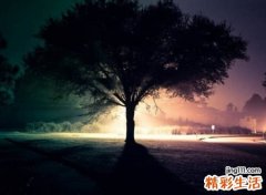 高冷霸气清爽的英文名