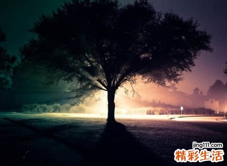 高冷霸气清爽的英文名