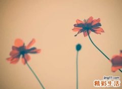 古风韵味的四字网名