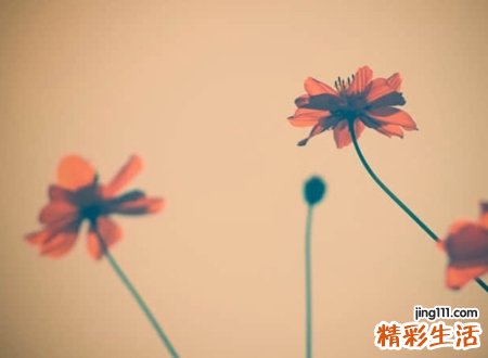 古风韵味的四字网名