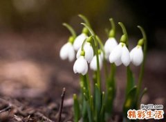 有意境的二字唯美昵称