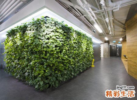 新颖有创意的店名