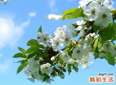有意义的字有哪些