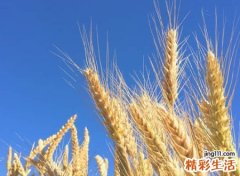 带火的字有哪些