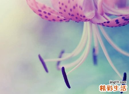 很丧的2字网名