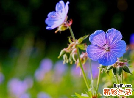 煦配什么字取名寓意好