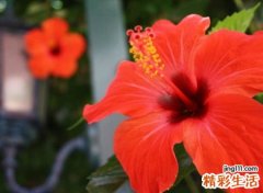 带珊字的唯美网名