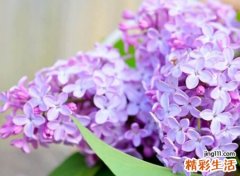 绍和什么字取名最配