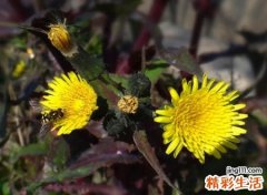 寓意比较好的名字精选