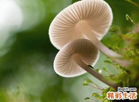 三个字好听的名字